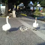 Pensión Il Guscio *