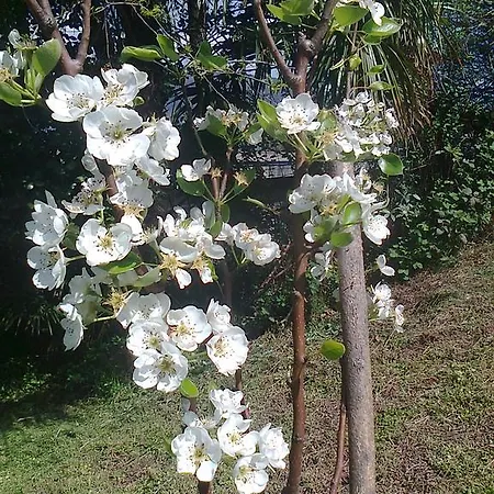 Il Guscio Gasthuis *