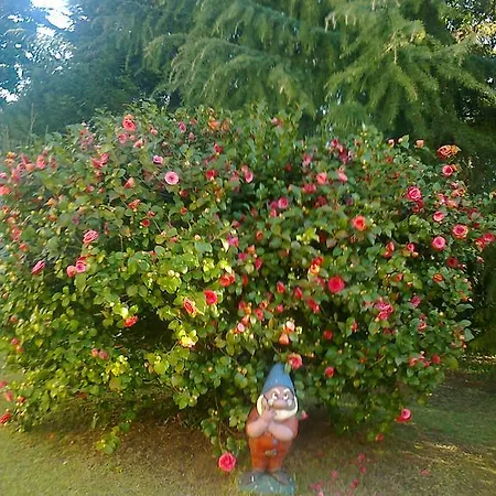 Gasthuis Il Guscio Baveno