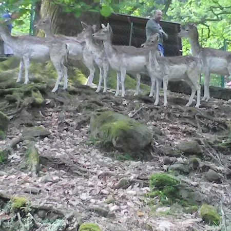 Il Guscio Gasthuis *