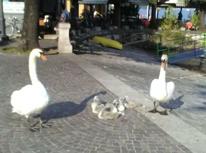 Gasthuis Il Guscio *